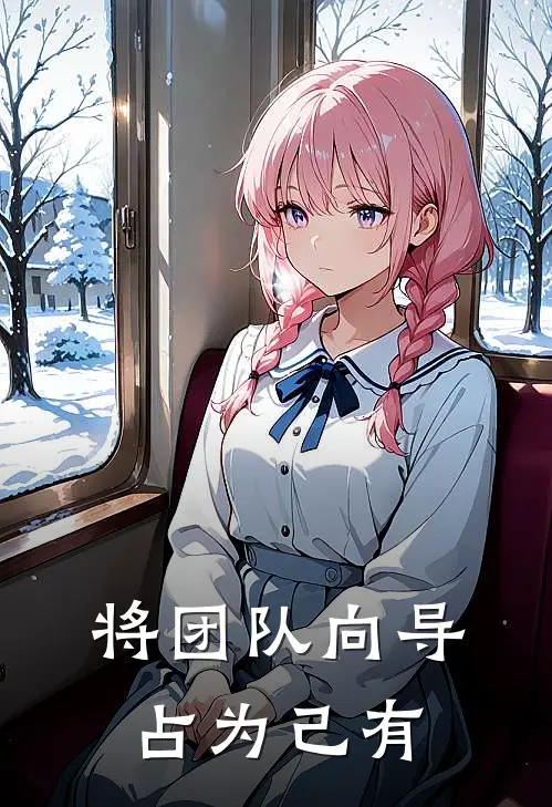 将团队向导占为己有